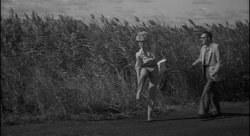 Broadway Danny Rose : Foto