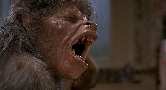 Un hombre lobo americano en Londres : Foto