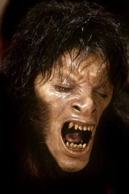 Un hombre lobo americano en Londres : Foto