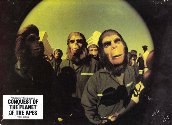 La conquista del planeta de los simios : Foto