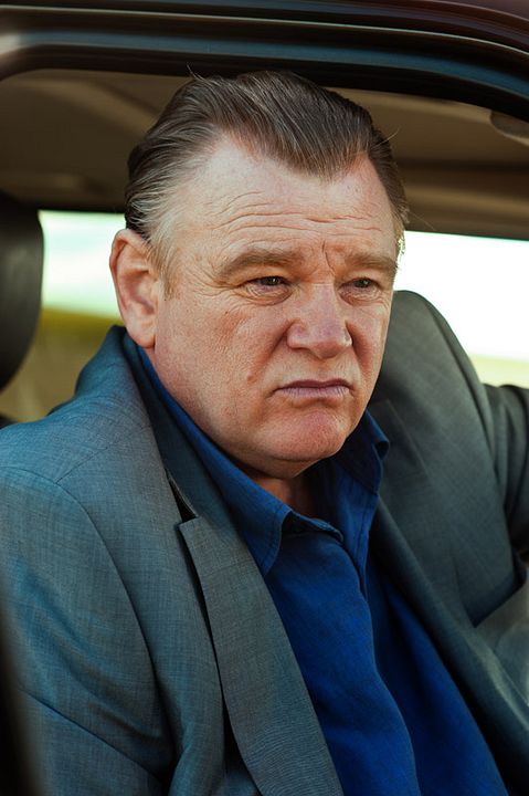 Protegiendo al enemigo : Foto Brendan Gleeson