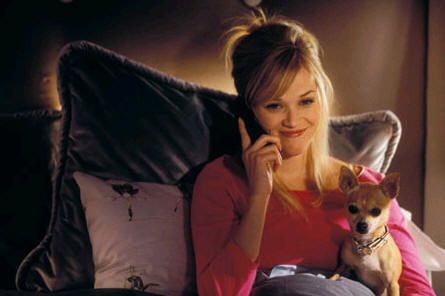 Legalmente rubia 2: más rubia que nunca : Foto