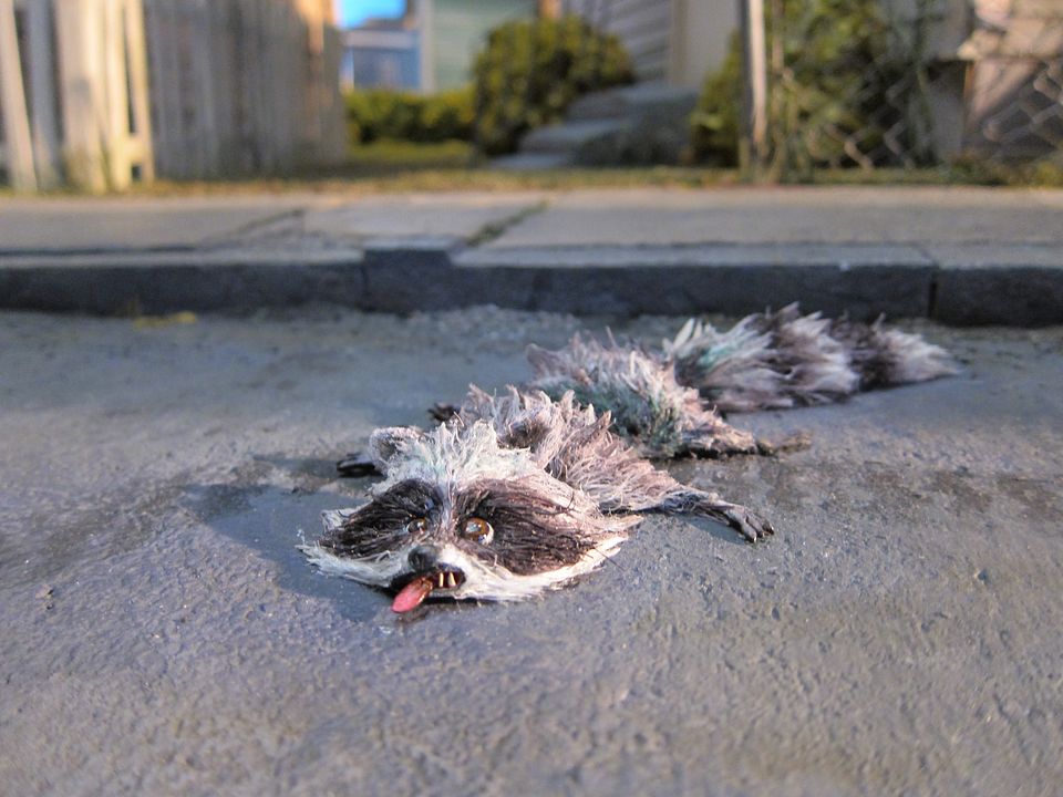 Foto Chris Butler, Sam Fell