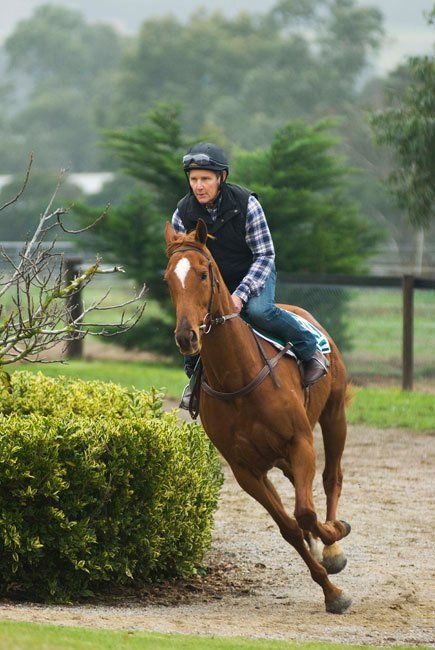 The Cup : Foto Stephen Curry