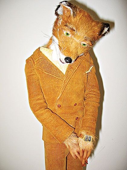 El fantástico señor Zorro : Foto