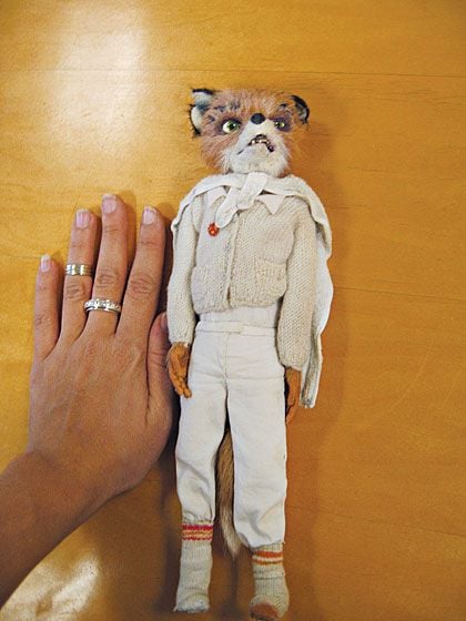 El fantástico señor Zorro : Foto