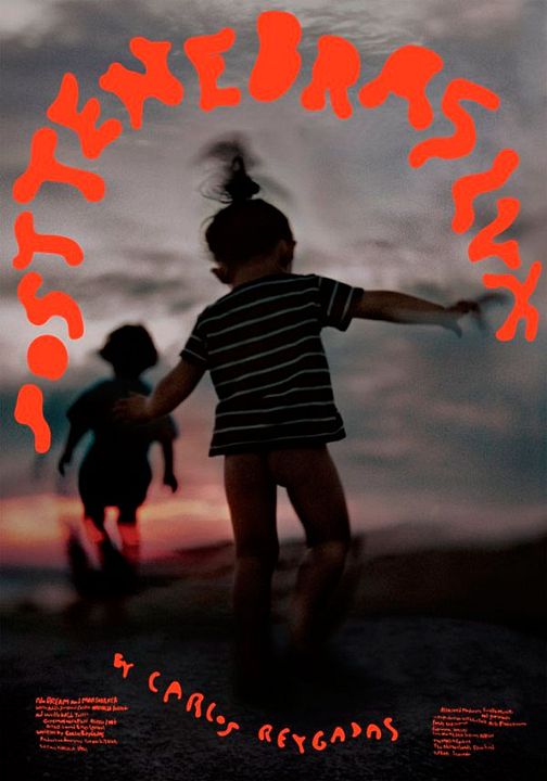 Post Tenebras Lux : Póster