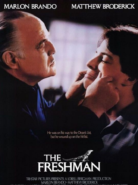 The Freshman : Póster