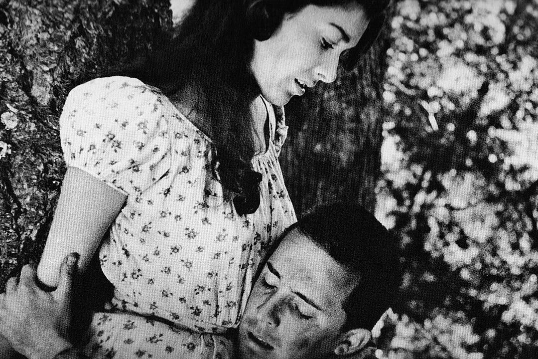 Fear and Desire : Foto