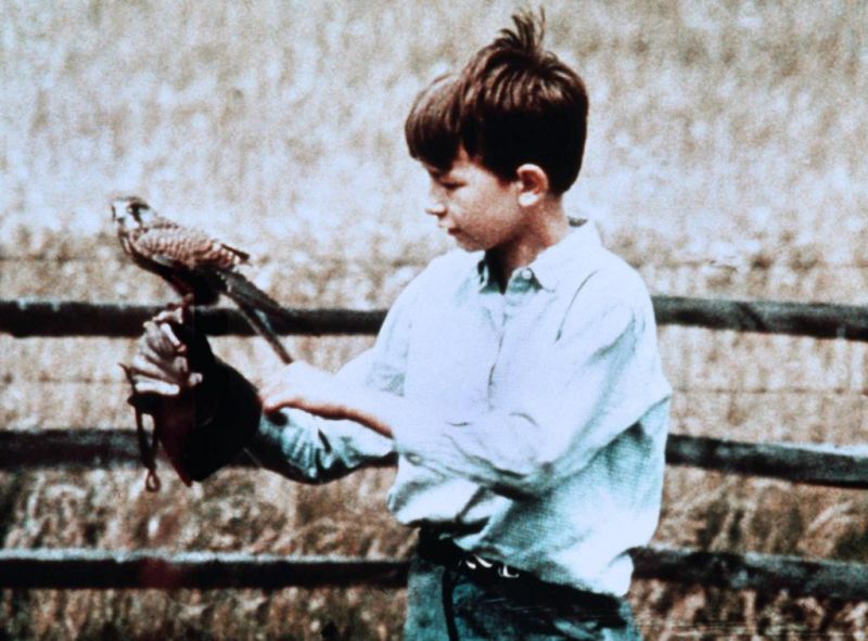 Foto David Bradley (II)