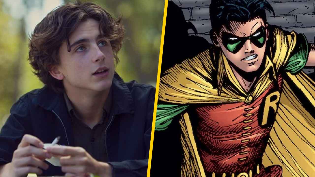 The Batman': Timothée Chalamet quiere ser Robin - Noticias de cine -  