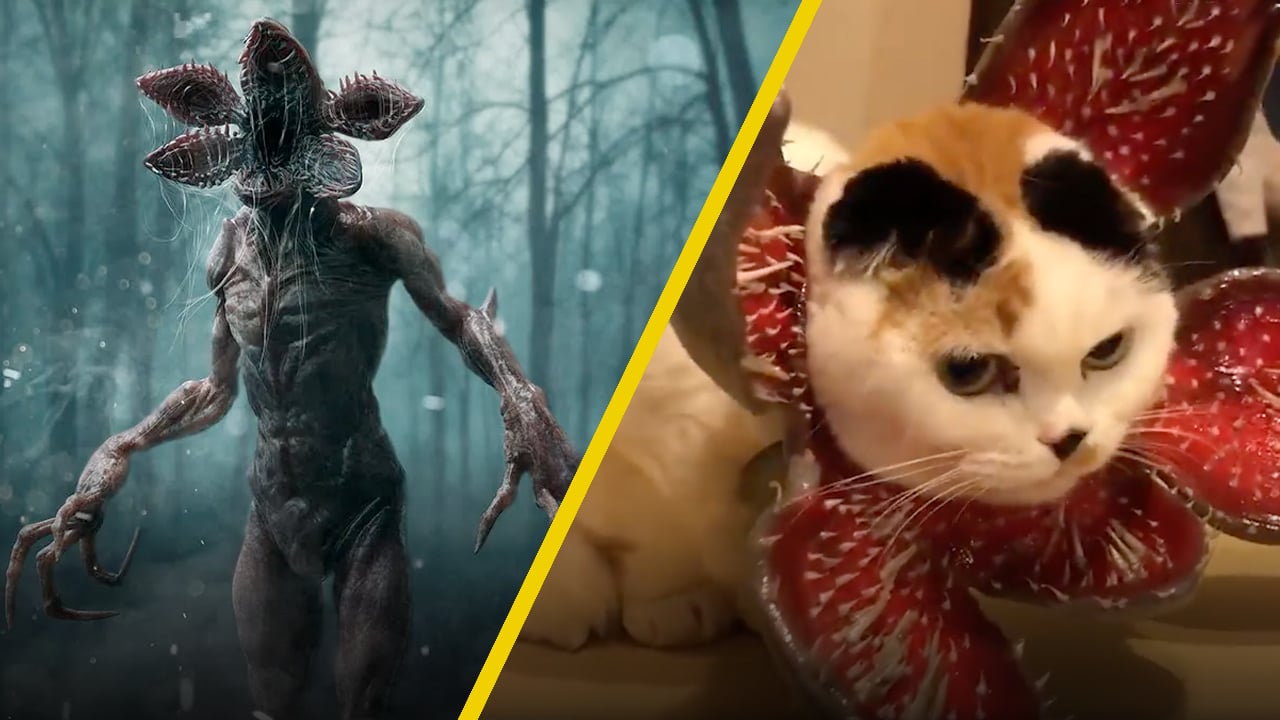 A 'Stranger Things' Season Three Demogorgon Dog Costume From Exists And ...
