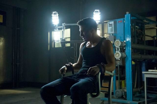 Arrow : Foto Colton Haynes