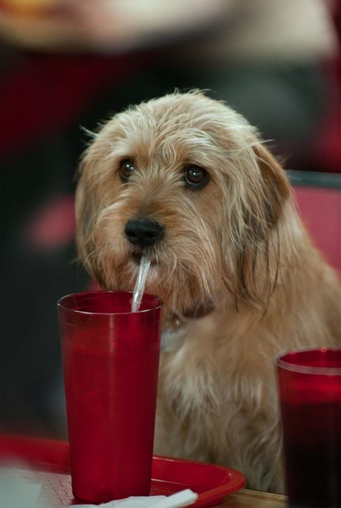 Al diablo con las noticias : Foto