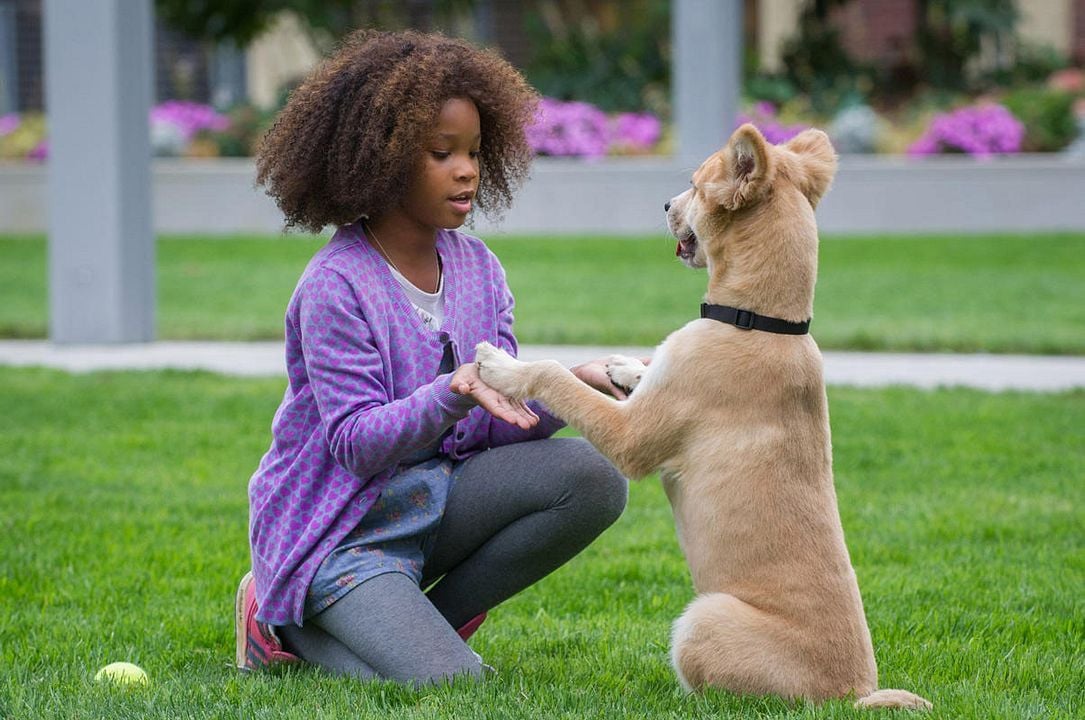 Annie : Foto Quvenzhané Wallis