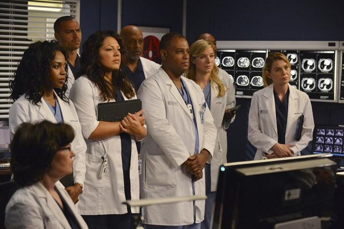 Grey's Anatomy : Foto Sara Ramirez, Jerrika Hinton, James Pickens Jr., Jesse Williams, Ellen Pompeo