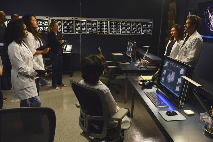Grey's Anatomy : Foto Jerrika Hinton, Caterina Scorsone, Sara Ramirez, Patrick Dempsey, James Pickens Jr., Ellen Pompeo