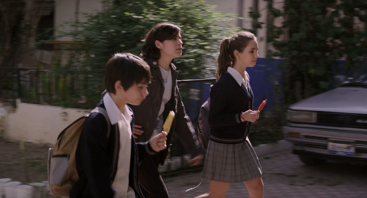 Los insólitos peces gato : Foto Ximena Ayala