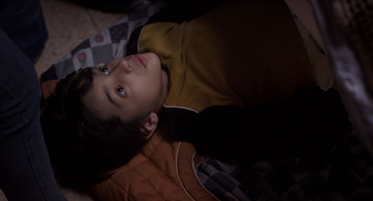 Los insólitos peces gato : Foto