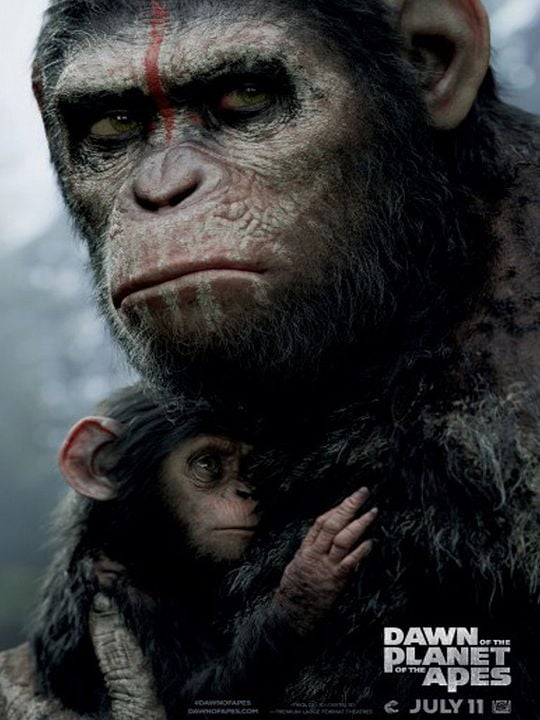 El planeta de los simios: Confrontación : Póster