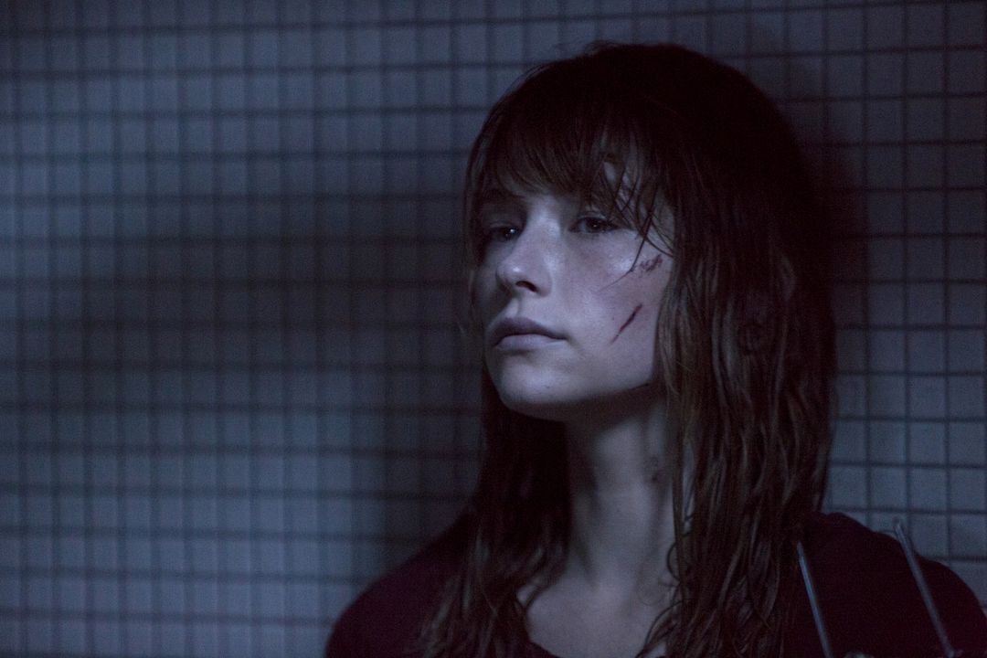 Foto Haley Bennett