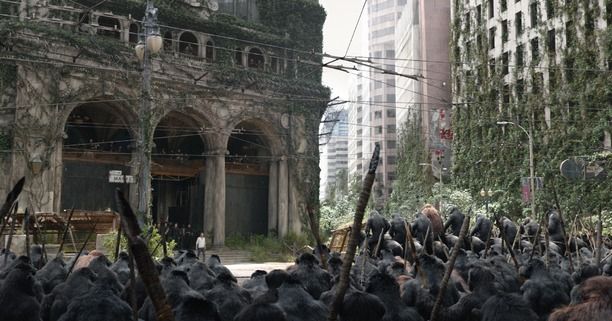 El planeta de los simios: Confrontación : Foto