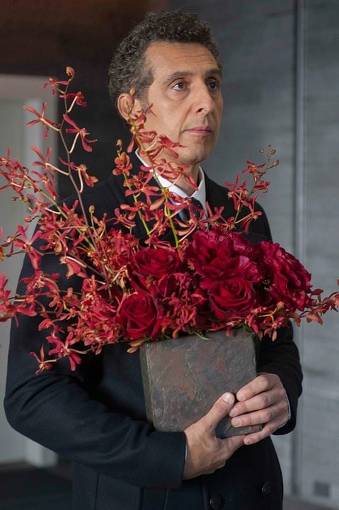 Casi un gigoló : Foto John Turturro