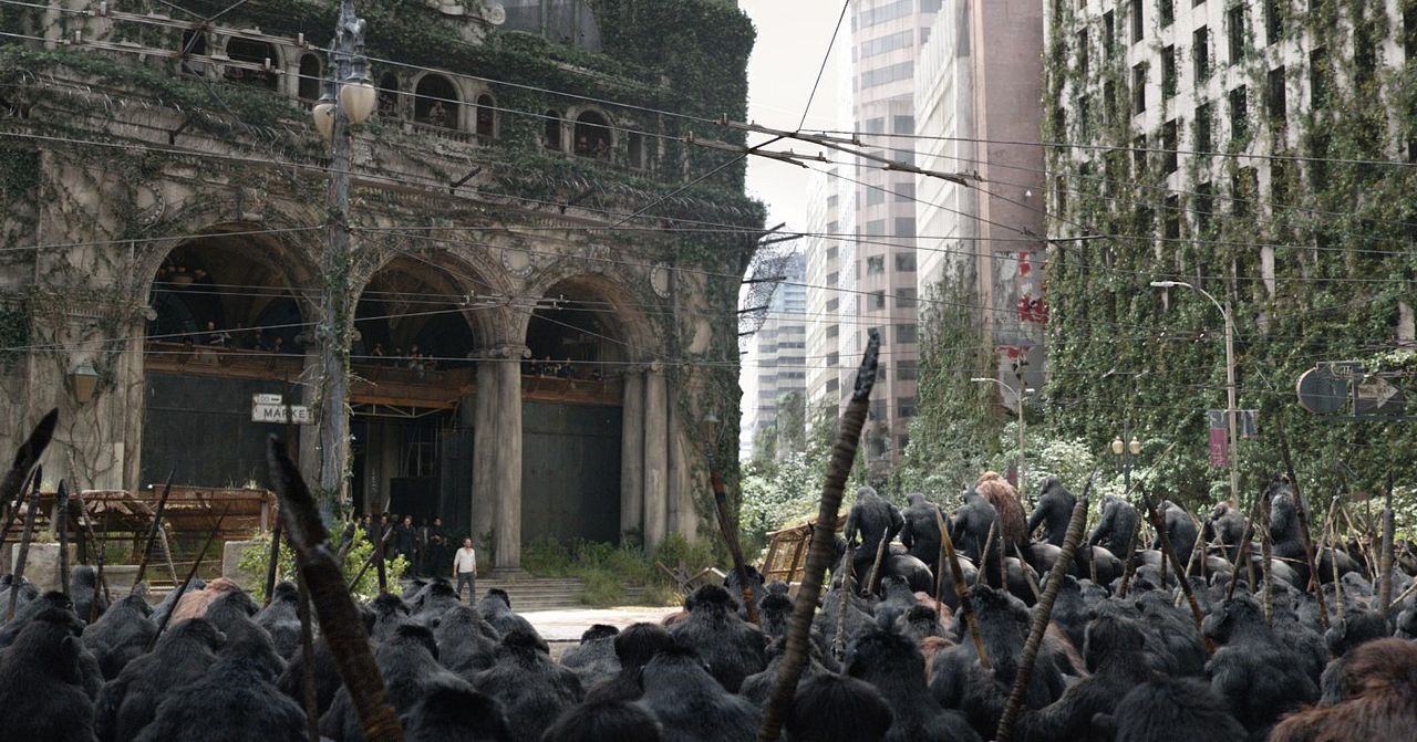 El planeta de los simios: Confrontación : Foto