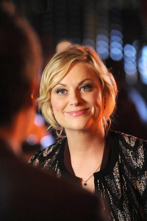 Welcome To Sweden : Foto Amy Poehler