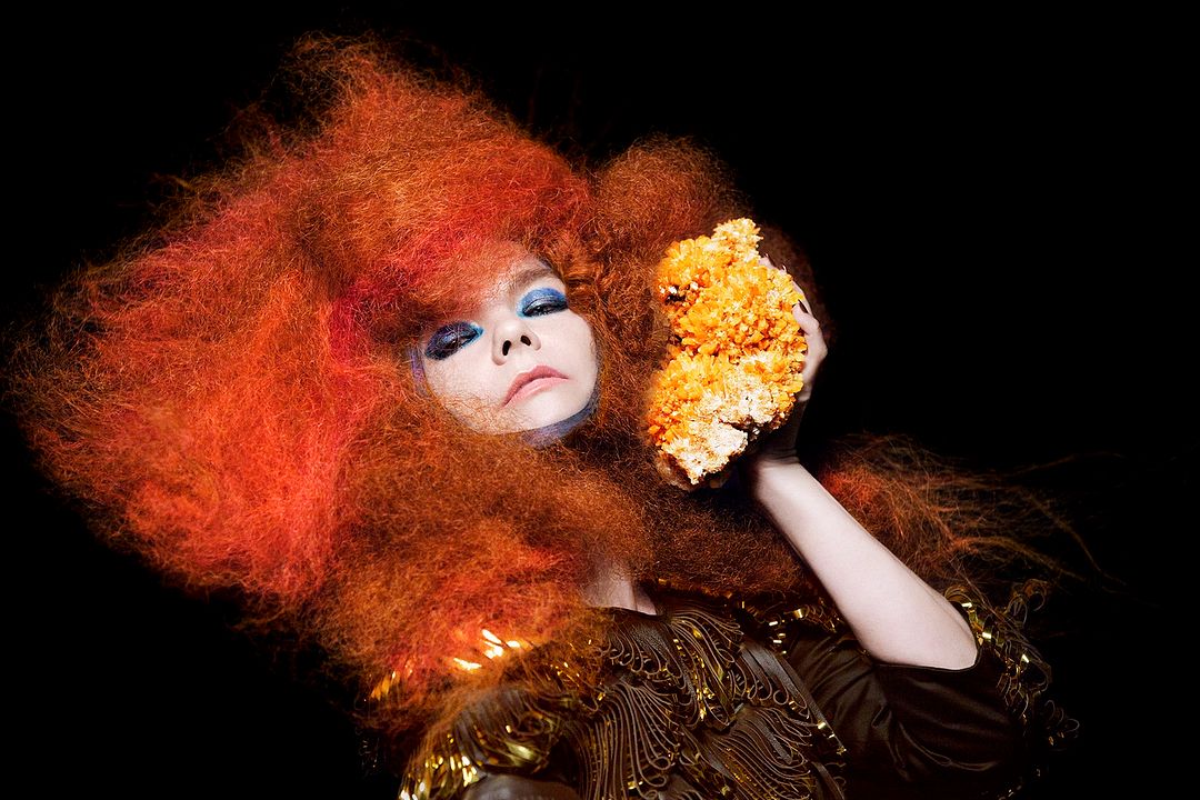 Foto Björk