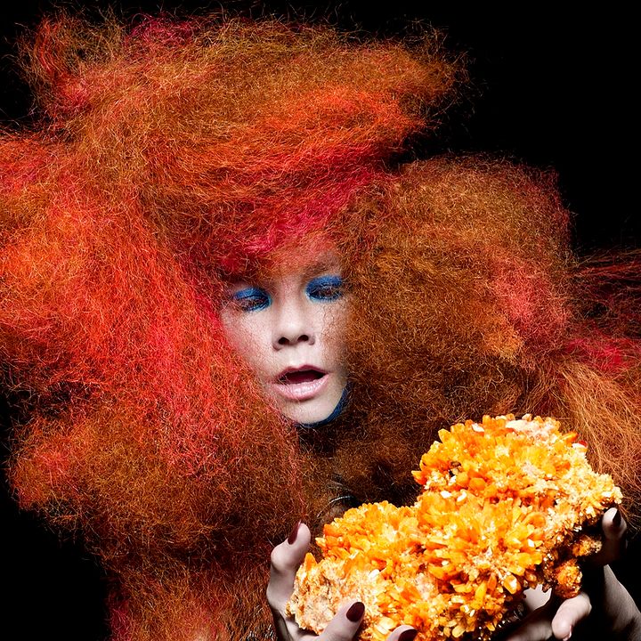 Foto Björk