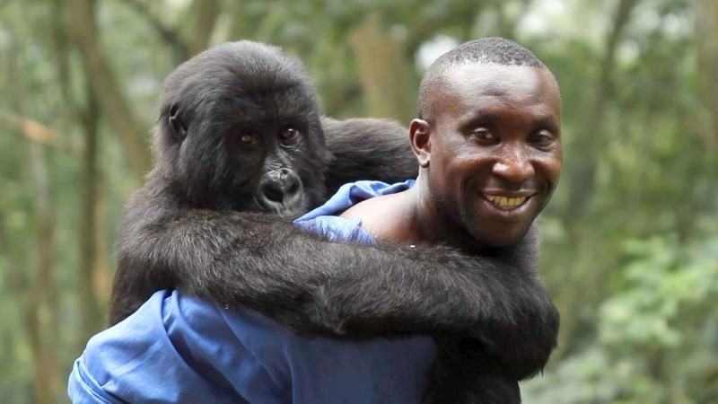 Virunga : Foto