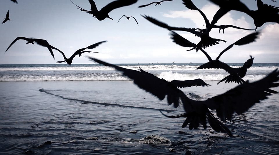 Silencio en la Tierra de los Sueños : Foto