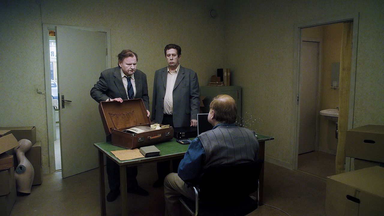 Una paloma se posó en una rama a reflexionar sobre la existencia : Foto