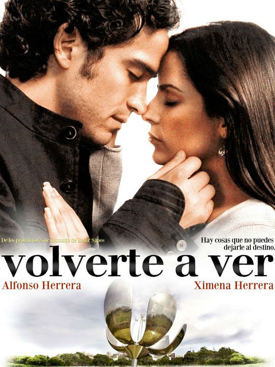 Volverte a ver : Póster