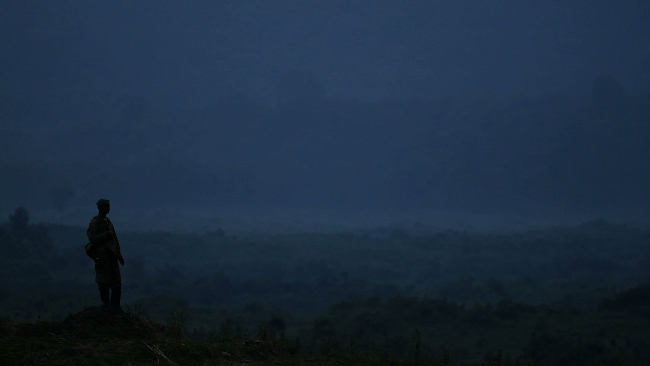 Virunga : Foto