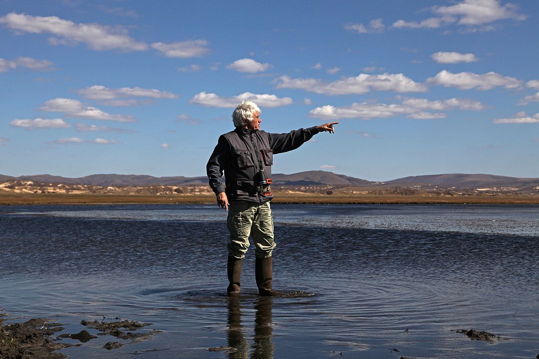 El último lobo : Foto