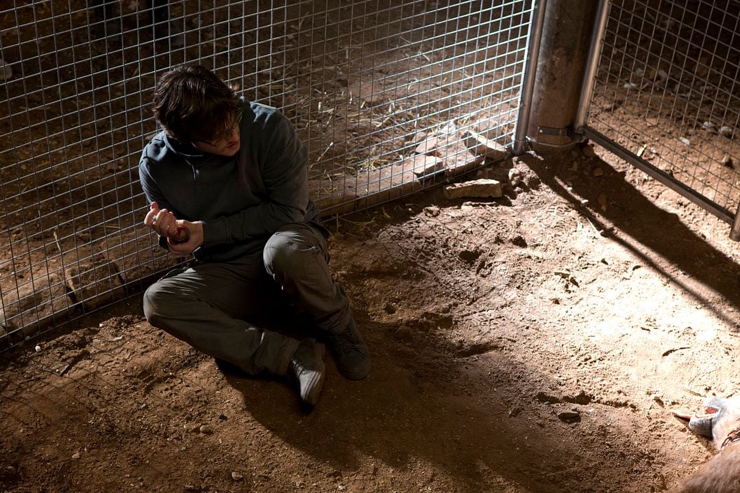 Campamento del terror: Summer camp : Foto