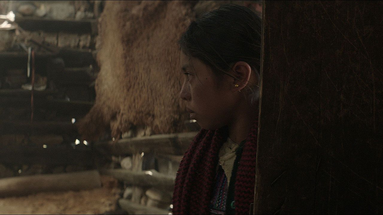 La casa más grande del mundo : Foto