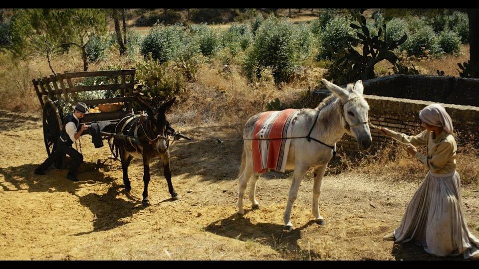 La luz con el tiempo adentro : Foto