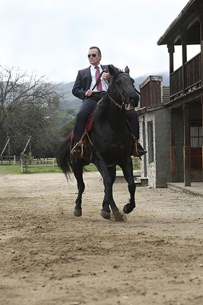 Scorpion : Foto Robert Patrick