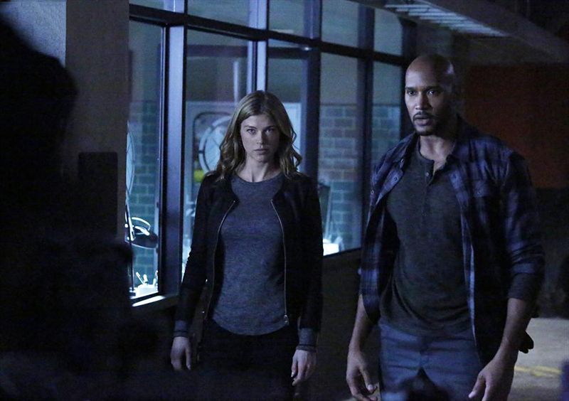 Agentes de S.H.I.E.L.D. : Foto Adrianne Palicki, Henry Simmons