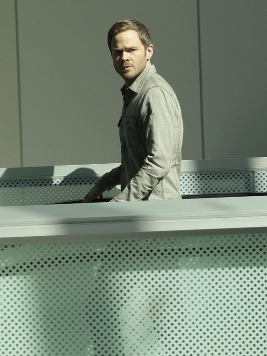 Foto Shawn Ashmore