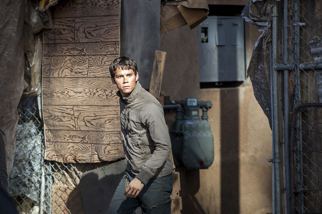 Maze Runner: Prueba de fuego : Foto Dylan O'Brien