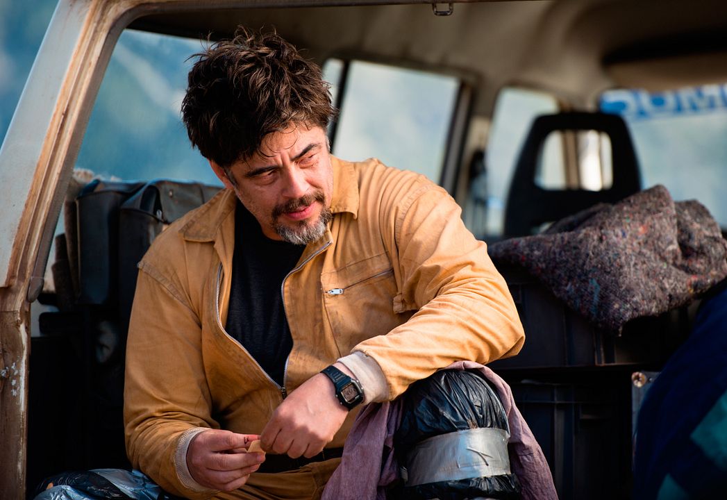 Un día perfecto : Foto Benicio Del Toro