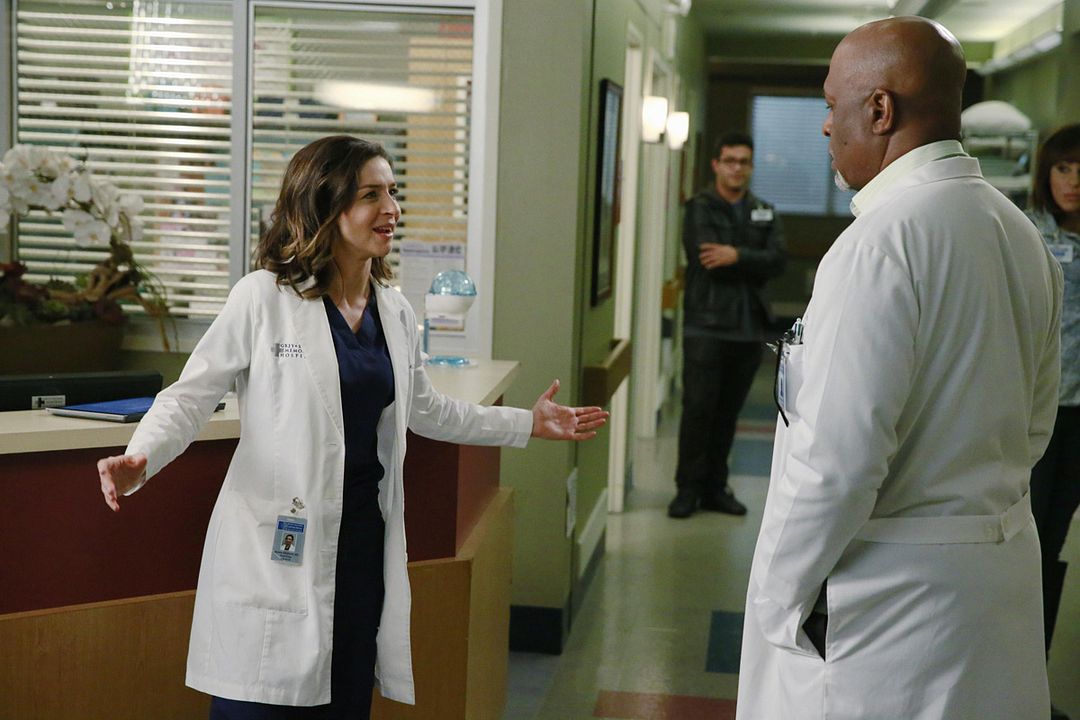 Grey's Anatomy : Foto James Pickens Jr., Caterina Scorsone