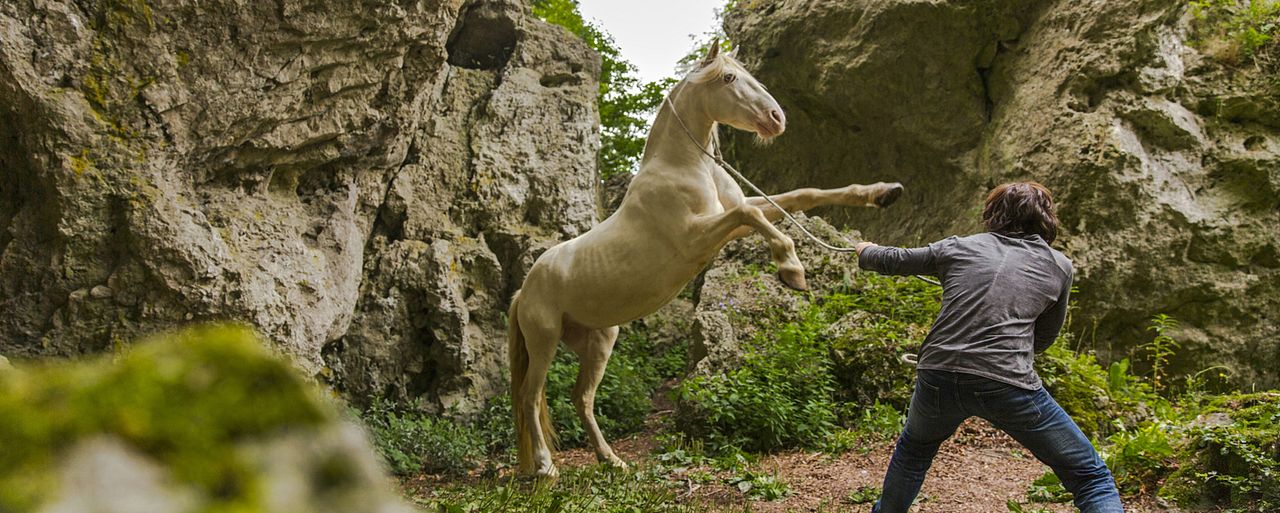 Foto Jannis Niewöhner