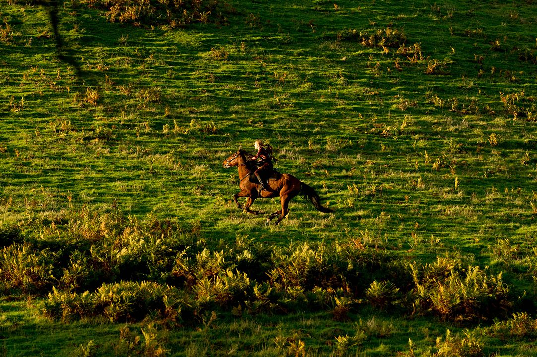 Lejos del mundanal ruido : Foto Carey Mulligan