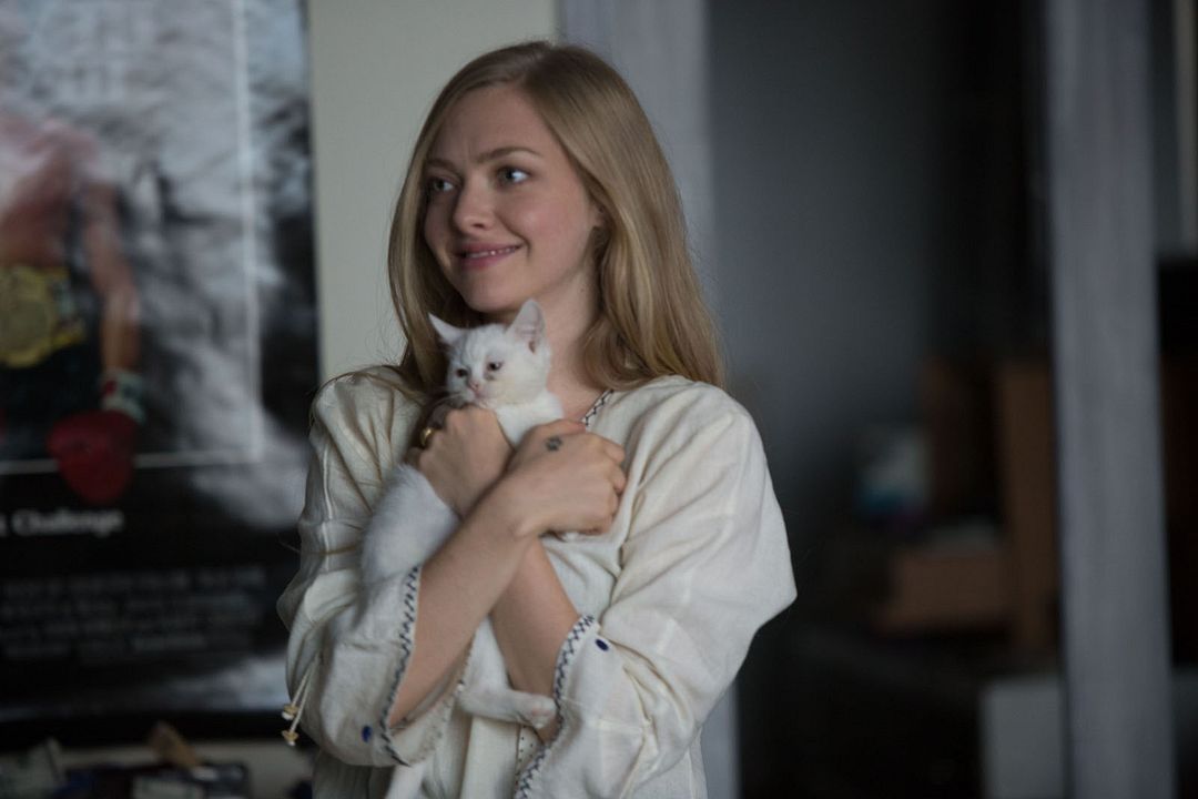 Mientras somos jóvenes : Foto Amanda Seyfried