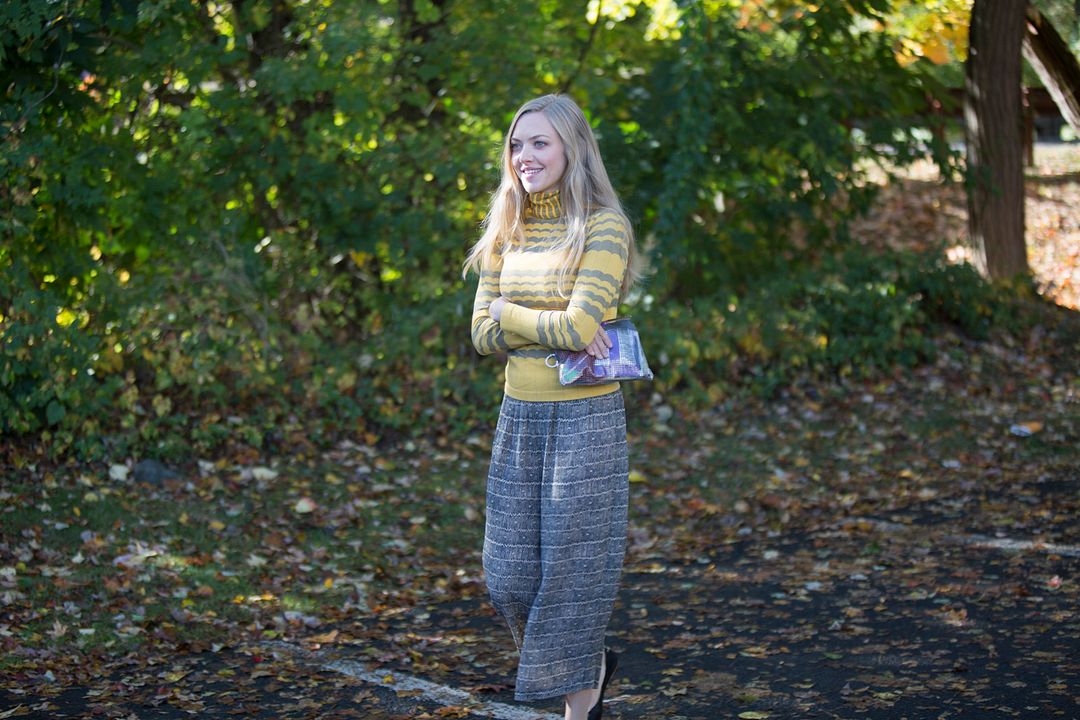 Mientras somos jóvenes : Foto Amanda Seyfried